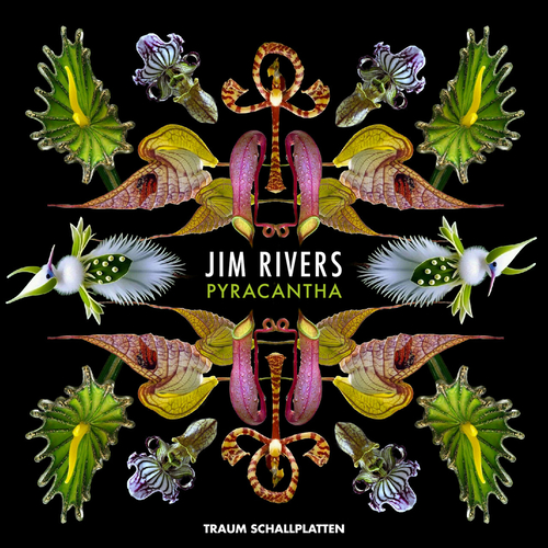 Jim Rivers - Pyracantha EP [TRAUMV288]